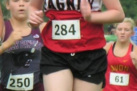 Article Image Alt Text