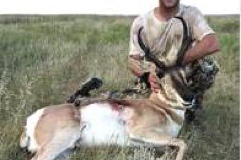 THESE GUYS ARE REALLY GOOD!