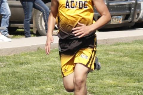 Article Image Alt Text