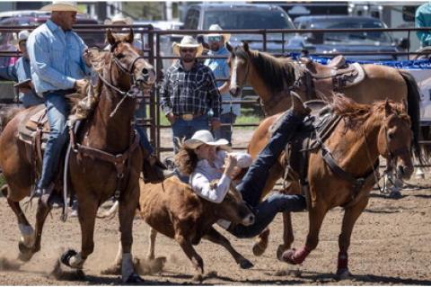 Article Image Alt Text