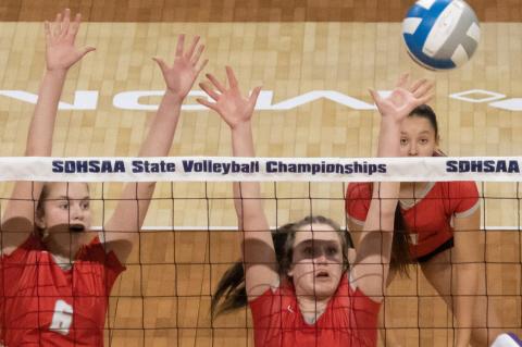 Article Image Alt Text