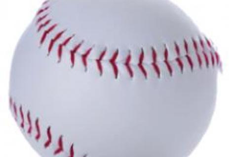 BASEBALL SEASON HAS BEGUN