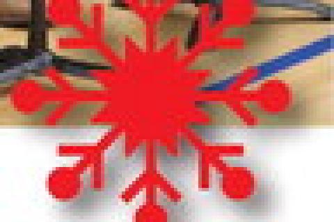 Article Image Alt Text