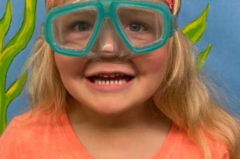 Article Image Alt Text