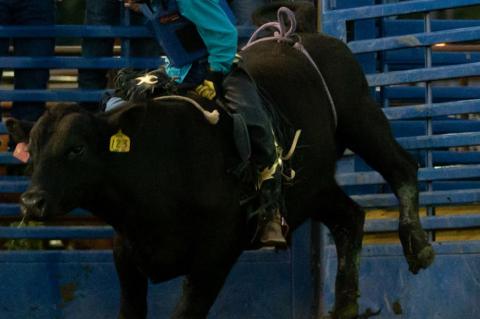 LOCALS PARTICIPATE AT GEDDES FINALS