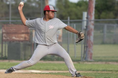 WAGNER TEENER'S BASEBALL RESULTS