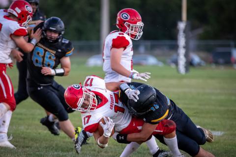 Article Image Alt Text