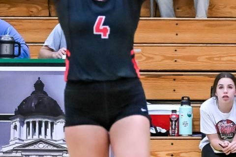 Article Image Alt Text