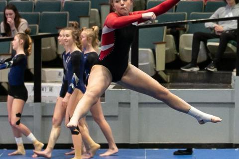 STATE GYMNASTICS CONTINUED FROM PAGE
