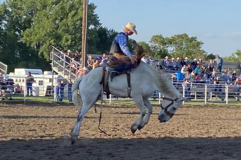 Article Image Alt Text