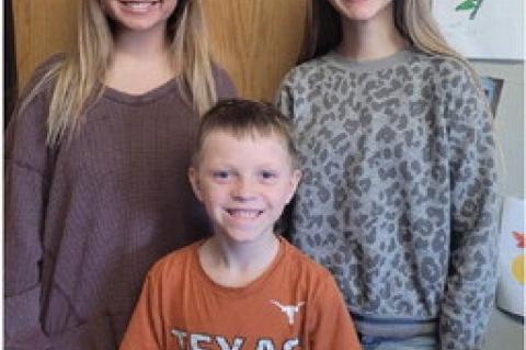 Article Image Alt Text