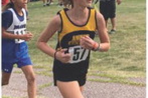 Article Image Alt Text