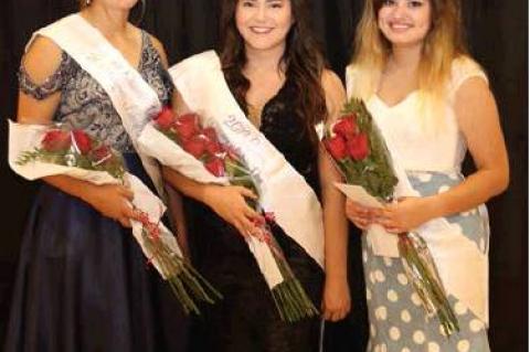 Article Image Alt Text