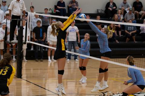 Article Image Alt Text