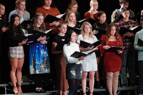 Article Image Alt Text