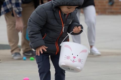 Article Image Alt Text