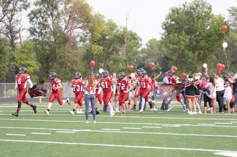 Article Image Alt Text