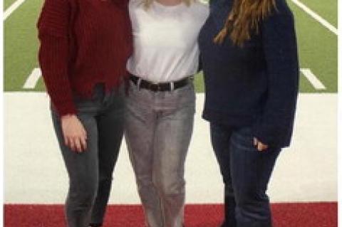 Article Image Alt Text