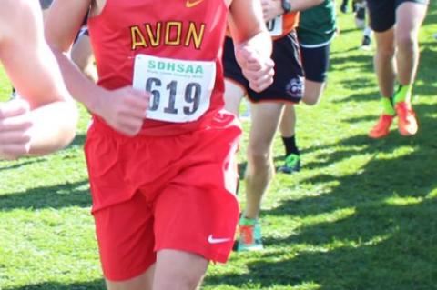 TJEERDSMA/THURY COMPETE AT STATE CROSS COUNTRY