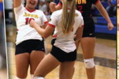 Article Image Alt Text