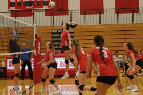 Article Image Alt Text