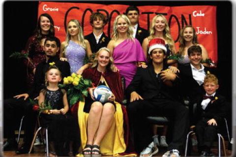 Article Image Alt Text