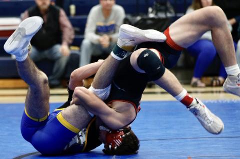 Article Image Alt Text