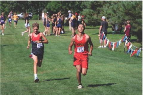 Article Image Alt Text