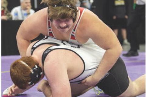 Article Image Alt Text