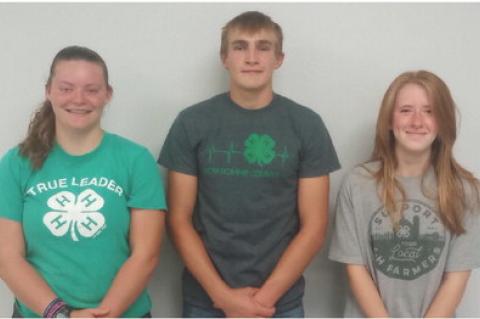 Article Image Alt Text