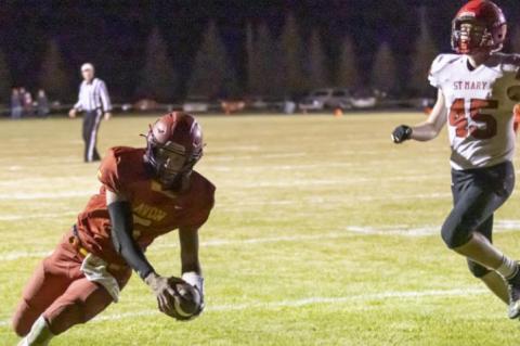 Article Image Alt Text