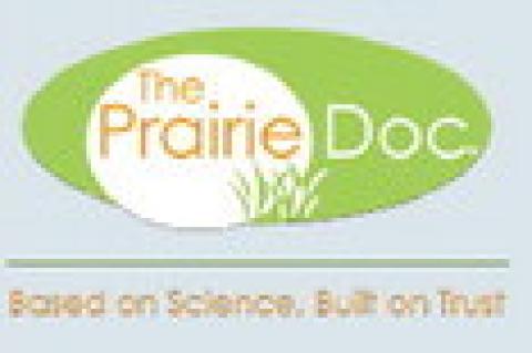 TRANSFERRABLE SKILLS: TEACHING RESILIENCE, HUMILITY AND SELF CONFIDENCE THROUGH YOUTH SPORTS