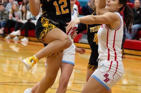 Article Image Alt Text