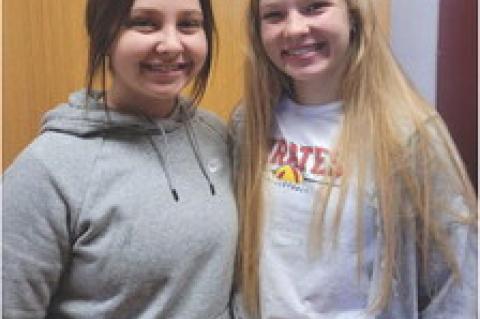 Article Image Alt Text