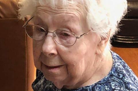 Article Image Alt Text